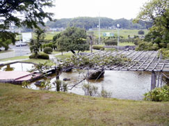 いずみ聖地公園　成田