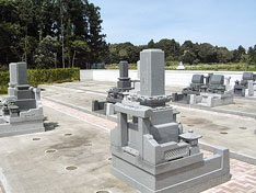 秋桜中央霊園　墓地
